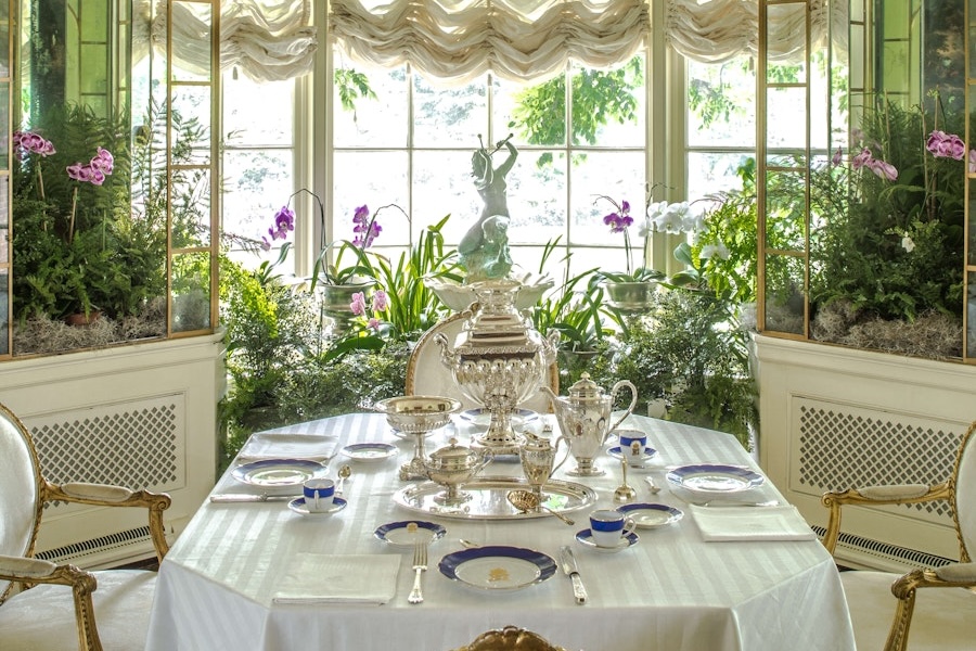 A lavish tea setup in a dining room surrounded by lush plants and a bright window. 