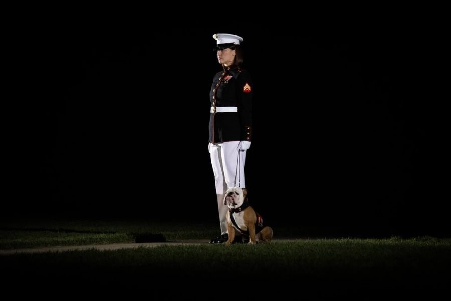Friday Evening Parade at the Marine Barracks