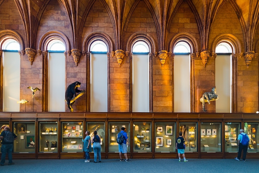 The Smithsonian Castle’s South Hall glows with warm light highlighting its vaulted ceilings and exhibit cases.