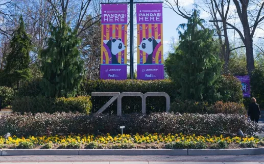 Entrance to the Smithsonian National Zoo with banners announcing pandas.
